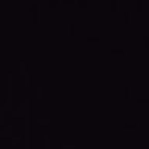 Meet your Posher, Darlene